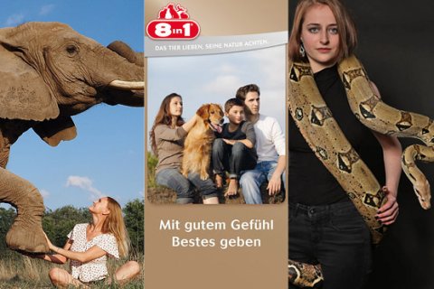 Buchung / Ausstellung / Prints