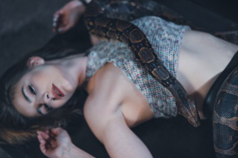 fotoshooting mit schlangen in hamburg und schleswig holstein