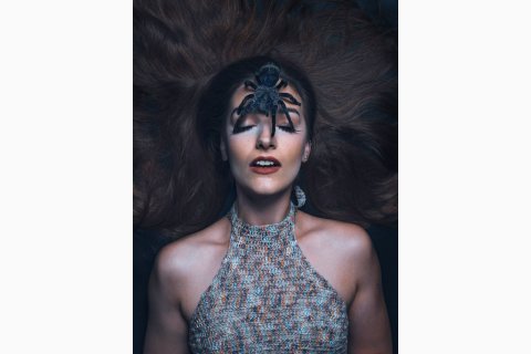 ein fotoshooting mit vogelspinne