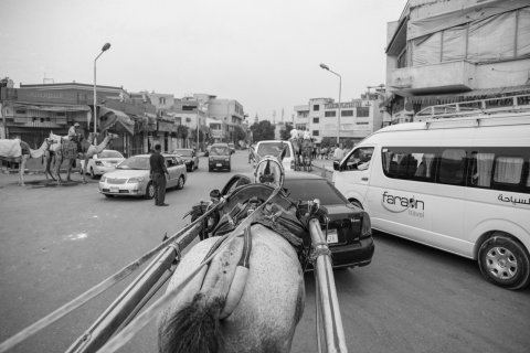 Ein Pferd in den Stra&szlig;en von Kairo