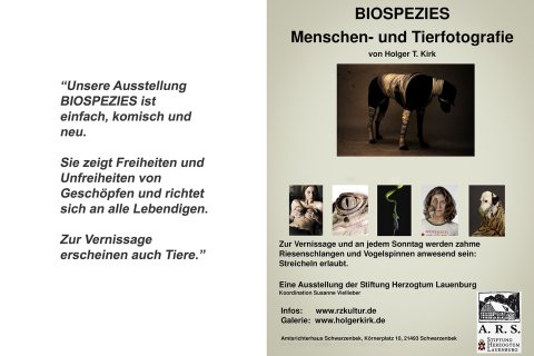 kunstausstellung von Holger Kirk