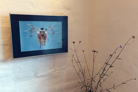 Fotoausstellung von Holger Kirk